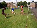 snc10090.jpg