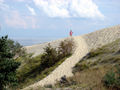 dsc08924-1.jpg
